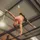 Ted Mansouri